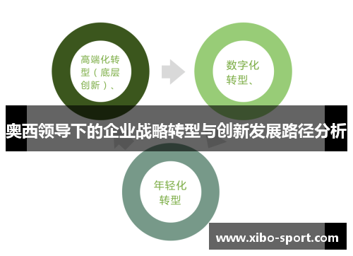 奥西领导下的企业战略转型与创新发展路径分析